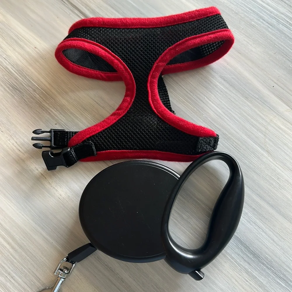 Small Dog Halter and 13ft Retractable Lead